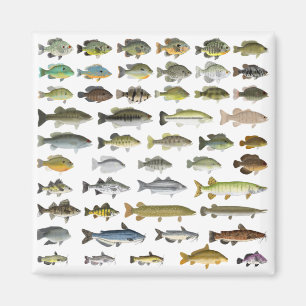 North American Freshwater Fish Group Magnet