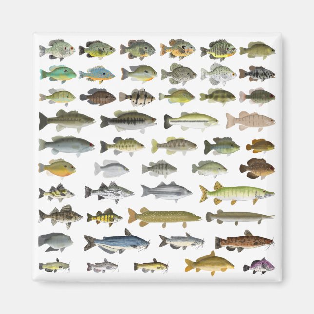 North American Freshwater Fish Group Magnet (Front)