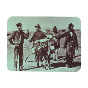 North American gold diggers, c.1849 (b/w photo) Magnet