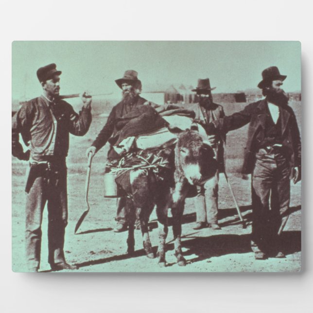 North American gold diggers, c.1849 (b/w photo) Plaque (Front)