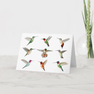 North American Hummingbirds Card