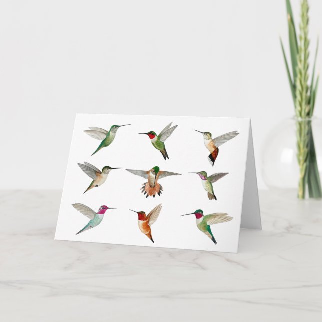 North American Hummingbirds  Card (Front)