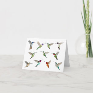 North American Hummingbirds Card