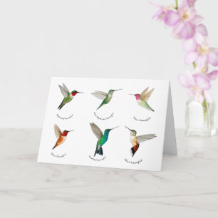 North-American Hummingbirds Card