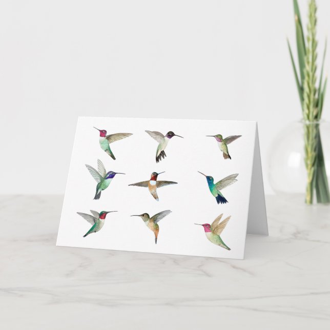 North American Hummingbirds  Card (Front)