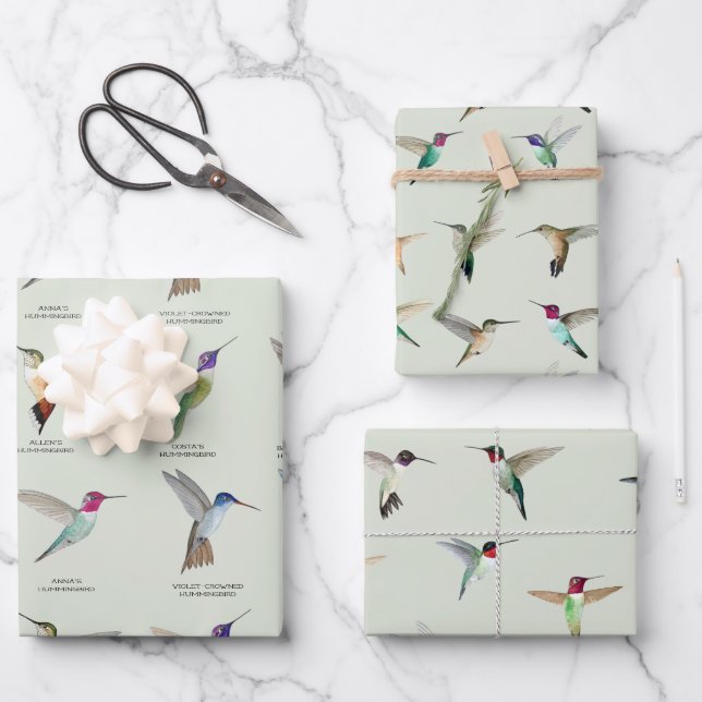 North American Hummingbirds Wrapping Paper Sheet (Front)