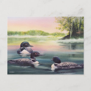 North American Loons on Lake Watercolor Art Postcard