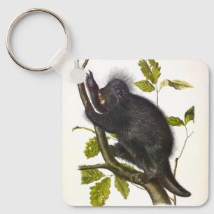 North American or Canada Porcupine by Audubon Key Ring
