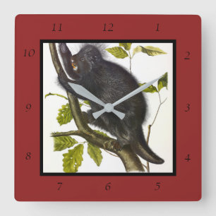 North American or Canada Porcupine by Audubon Square Wall Clock