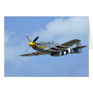 North American P-51D Mustang, Little Horse