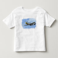 North American P-51D Mustang, Little Horse
