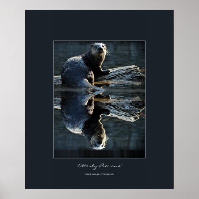 North American River Otter on a Log Wildlife Photo Poster (Front)