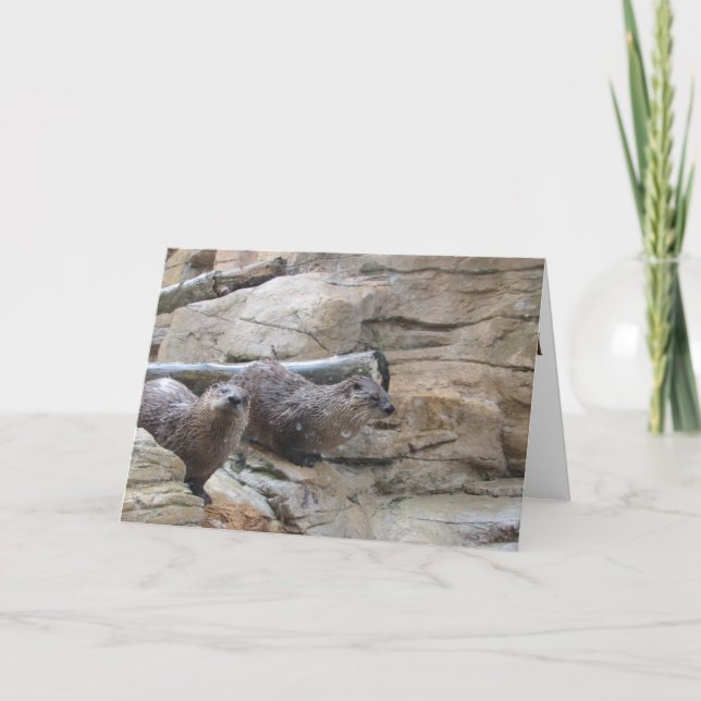 "North American River Otters" Thank You Card (Front)