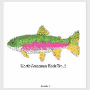 North American Rock Trout