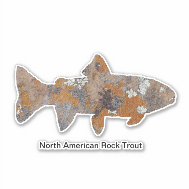North American Rock Trout (Front)