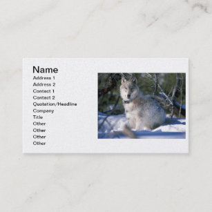 North American Timber Wolf in Snow Business Card
