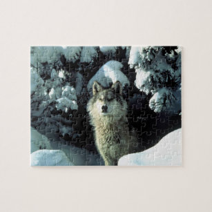 North American Timber Wolf in Snow Jigsaw Puzzle