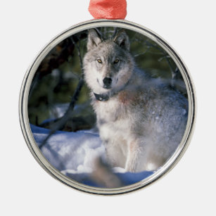 North American Timber Wolf in Snow Metal Tree Decoration