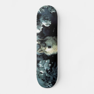 North American Timber Wolf in Snow Skateboard