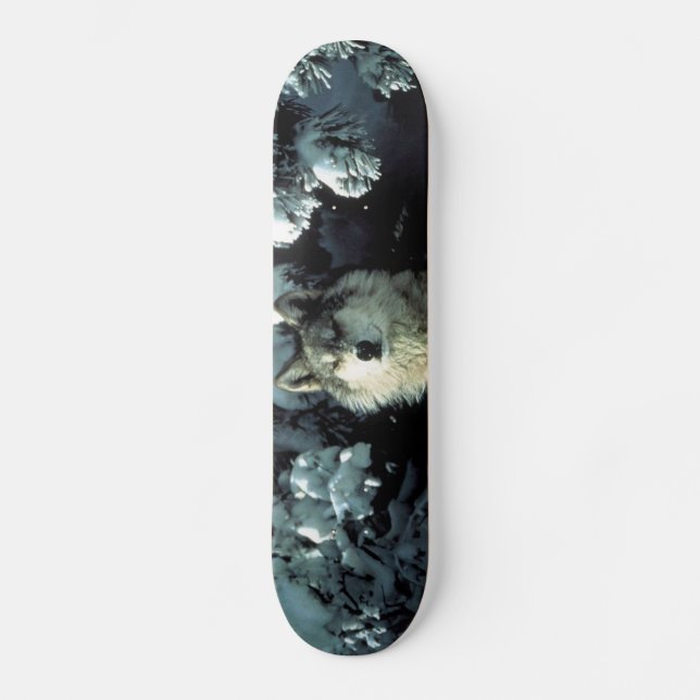 North American Timber Wolf in Snow Skateboard (Front)