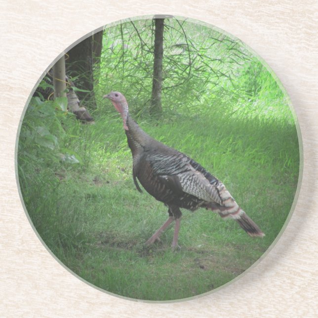 North American Wild Turkey Coaster (Front)