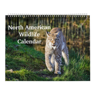 North American Wildlife Calendar