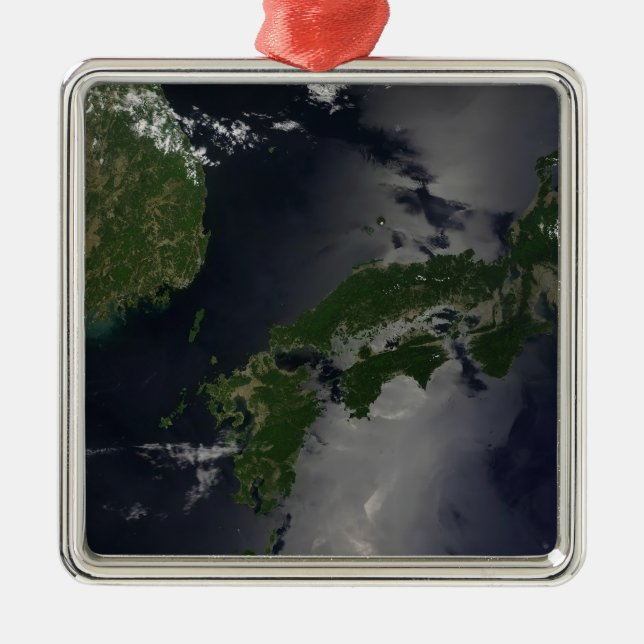 North and South Korea, Metal Tree Decoration (Front)