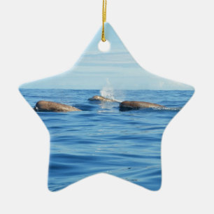 North Atlantic Bottlenose Whales Ceramic Tree Decoration