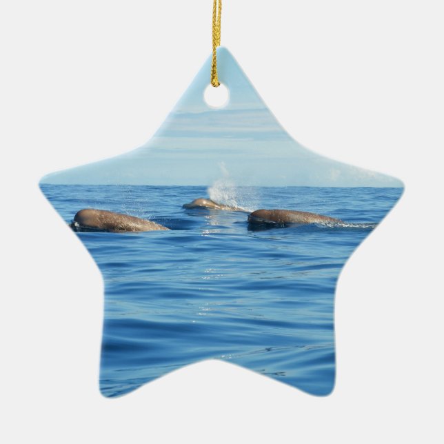 North Atlantic Bottlenose Whales Ceramic Tree Decoration (Front)