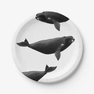 North Atlantic right whale Eubalaena glacialis Art Paper Plate