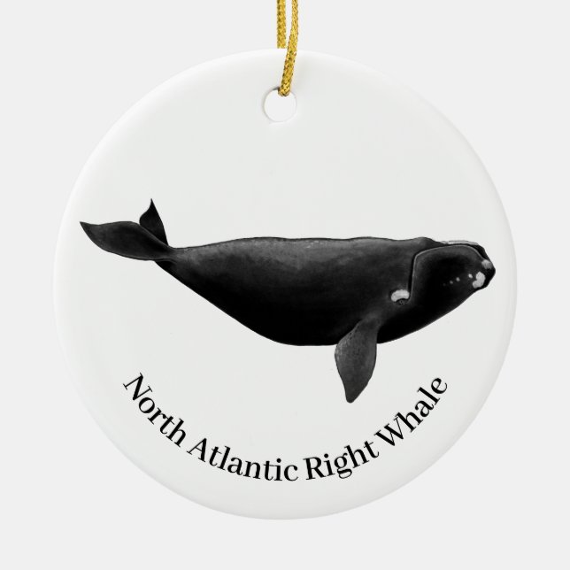 North Atlantic Right Whale Eubalaena Glacialis  Ceramic Tree Decoration (Front)