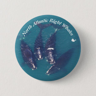 North Atlantic Right Whales by RoseWrites 6 Cm Round Badge