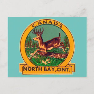  North Bay, Ontario - Postcard