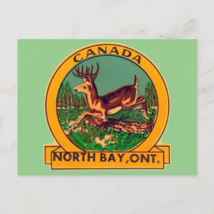 North Bay, Ontario - Postcard