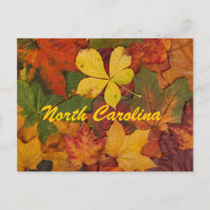 North Carolina Autumn Leaves Postcard