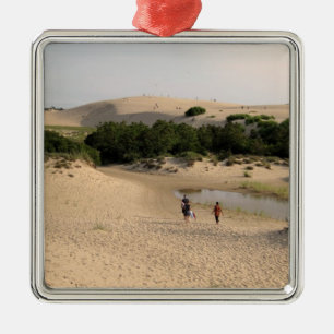 North Carolina Beach Metal Tree Decoration