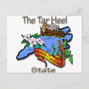 North Carolina Blue The Tar Heel State BirdFlower Postcard