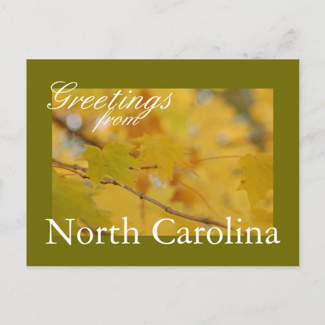North Carolina Fall Postcard (Front)