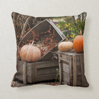 North Carolina, Linville, autumn pumpkins Cushion