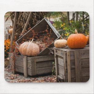North Carolina, Linville, autumn pumpkins Mouse Mat