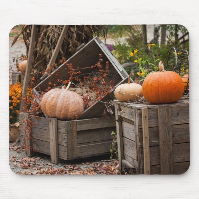 North Carolina, Linville, autumn pumpkins Mouse Mat (Front)
