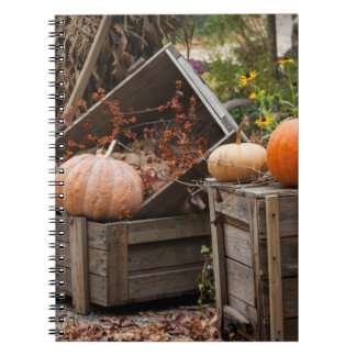 North Carolina, Linville, autumn pumpkins Notebook