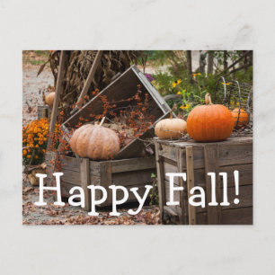 North Carolina, Linville, autumn pumpkins Postcard