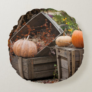 North Carolina, Linville, autumn pumpkins Round Cushion