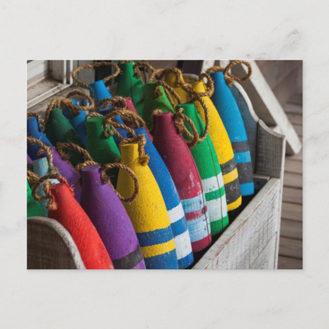 North Carolina, Outer Banks National Seashore 5 Postcard (Front)