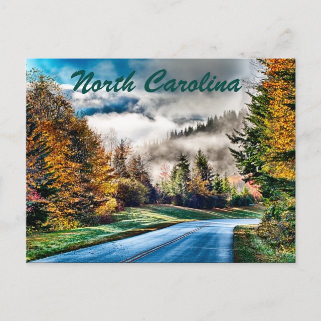 north carolina postcard (Front)