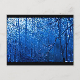 north carolina postcard