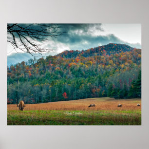 North Carolina scenic meadow (labeled) Poster