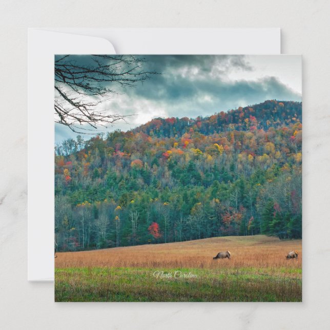 North Carolina scenic meadow (labelled) Card (Front)