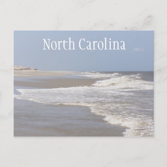 North Carolina Seascape Postcard (Front)